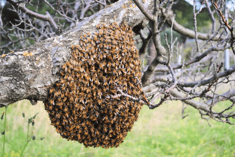 WhatsApp Image 2025-06-15 at 20.25