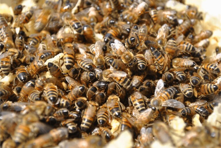 WhatsApp Image 2025-06-15 at 20.25