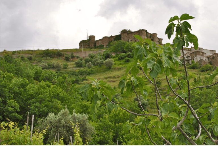 WhatsApp Image 2025-06-15 at 20.25