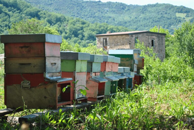 WhatsApp Image 2025-06-15 at 20.25