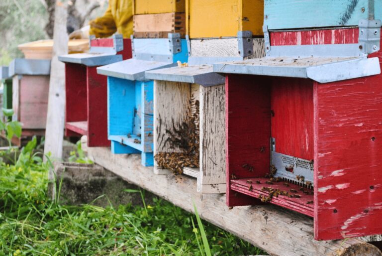 WhatsApp Image 2025-06-15 at 20.25