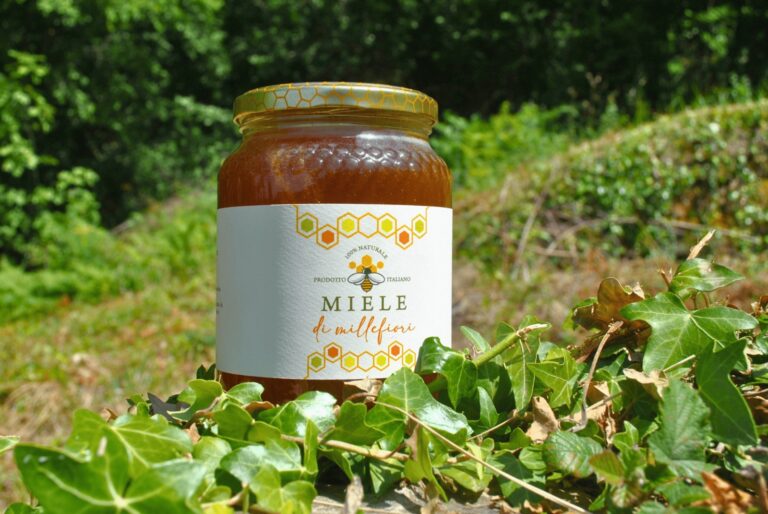 WhatsApp Image 2025-06-15 at 20.25